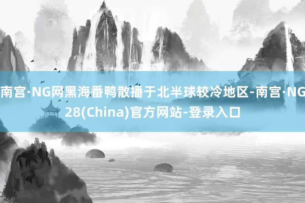 南宫·NG网黑海番鸭散播于北半球较冷地区-南宫·NG28(China)官方网站-登录入口