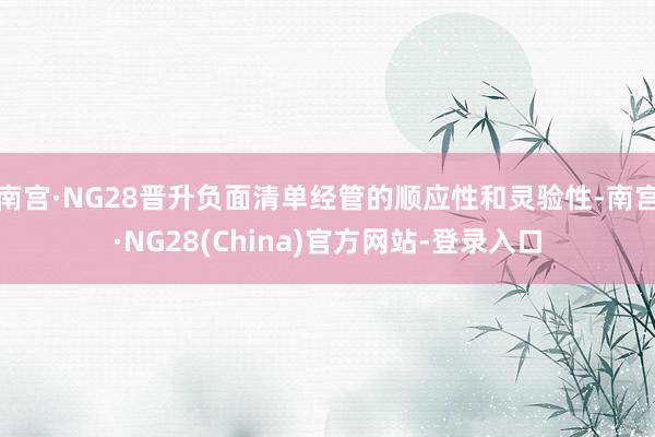 南宫·NG28晋升负面清单经管的顺应性和灵验性-南宫·NG28(China)官方网站-登录入口