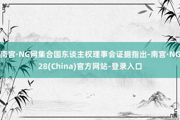 南宫·NG网集合国东谈主权理事会证据指出-南宫·NG28(China)官方网站-登录入口