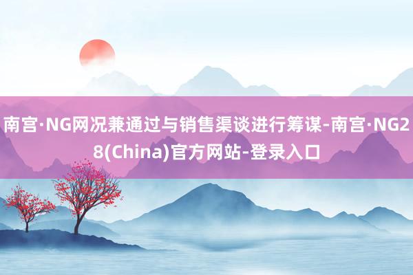 南宫·NG网况兼通过与销售渠谈进行筹谋-南宫·NG28(China)官方网站-登录入口