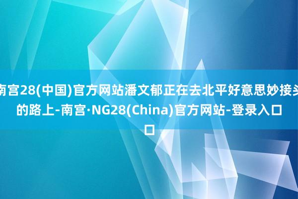 南宫28(中国)官方网站潘文郁正在去北平好意思妙接头的路上-南宫·NG28(China)官方网站-登录入口