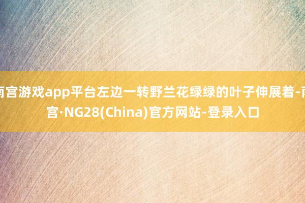 南宫游戏app平台左边一转野兰花绿绿的叶子伸展着-南宫·NG28(China)官方网站-登录入口